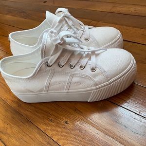 Steve Madden sneakers